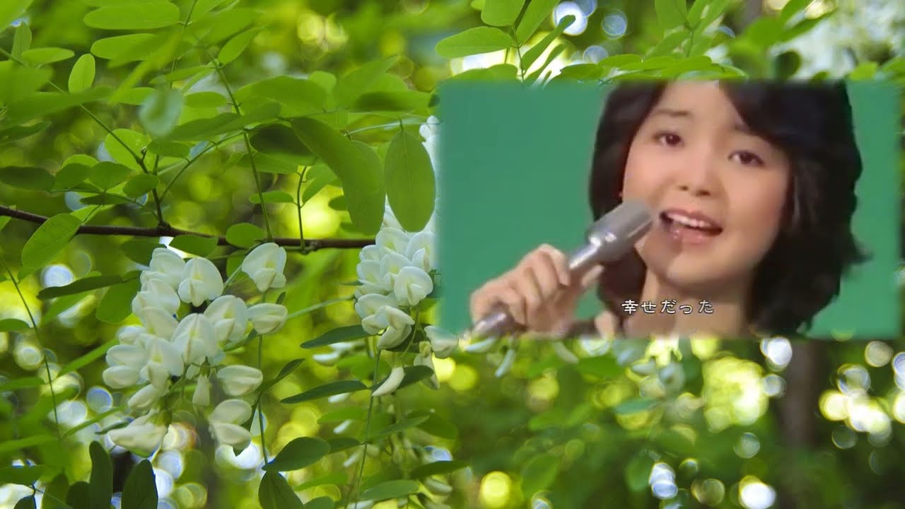 アカシアの夢 Dream of Acacia (1975/1977/1985) アジアの歌姫 鄧麗君