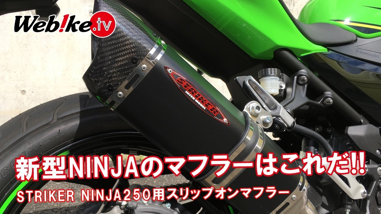 Kawasaki's new Ninja 250/400! Recommended for those considering