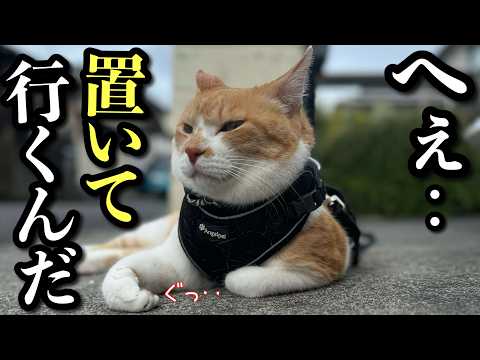 First Collaboration: My Parents Left Me All Alone! - YouTube