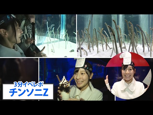 油絵 ゆうみ チンアナゴの間を泳ぐ仲良し魚 油絵 ゆうみ様専用