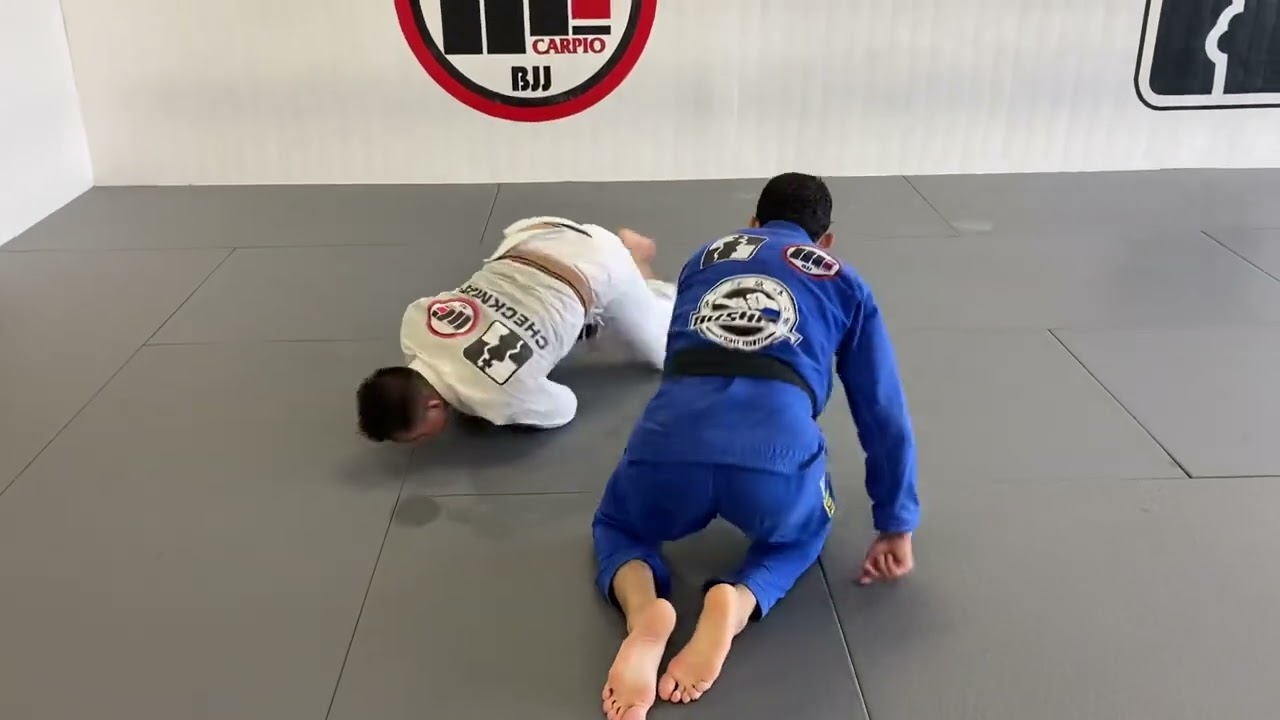 Week 15: Turtle defense to Octopus Guard - YouTube