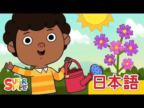 きせつのうた「The Seasons Song」| こどものうた | Super Simple 日本
