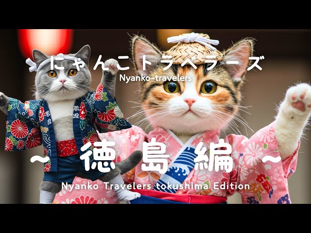 猫たちが徳島で芸術を楽しむ！渦潮＆阿波おどりで大はしゃぎ！/Cats
