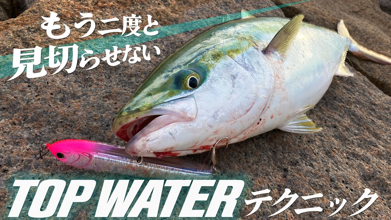 スレた大物に見切らせない！トップのアクションとロッドワークの