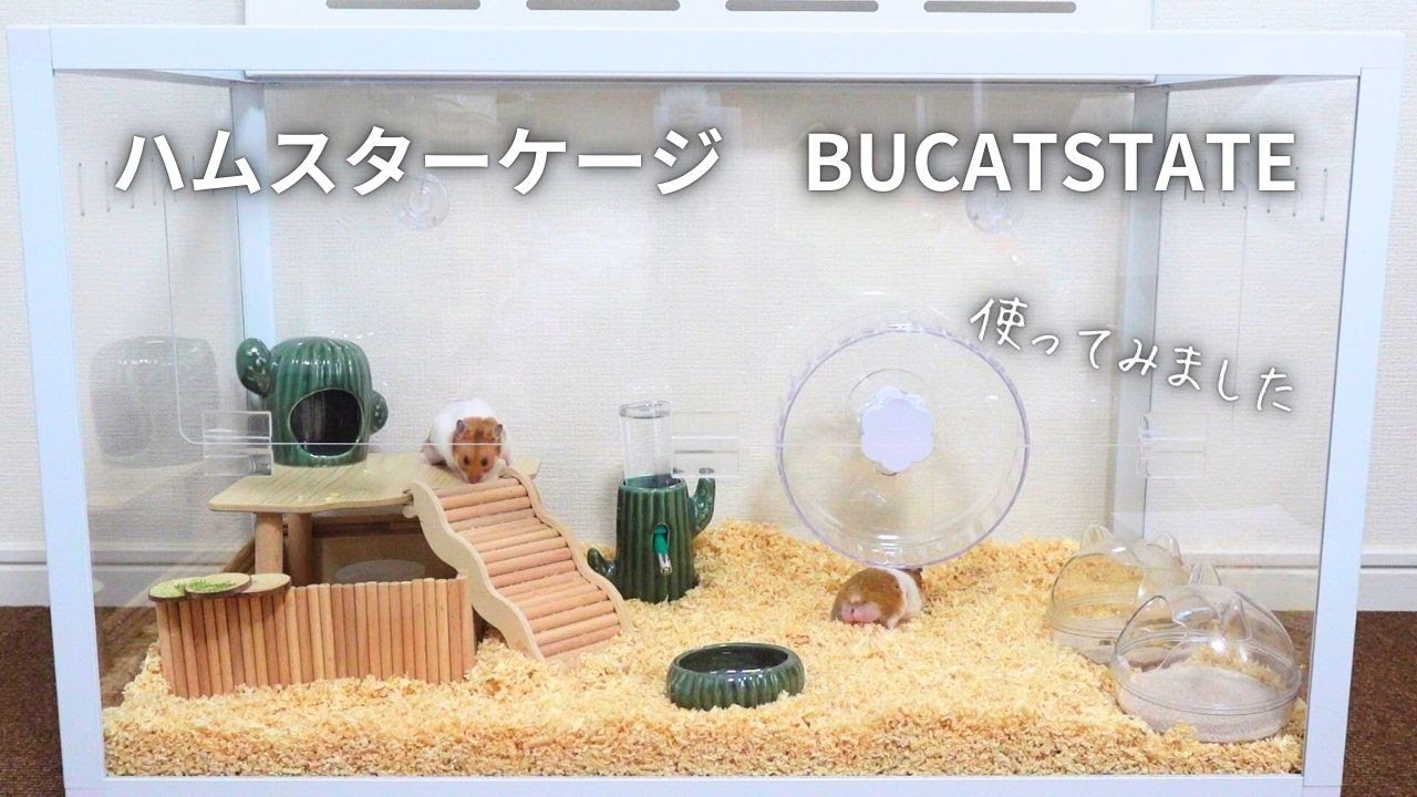 I tried using the BUCATSTATE hamster cage and it was very