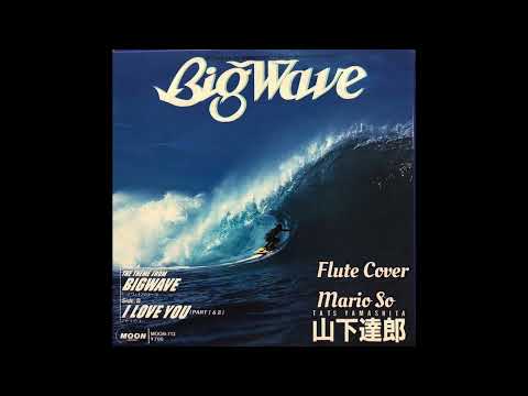 Tats Yamashita = 山下達郎 – Big Wave = ビッグウェイブ – Vinyl (LP