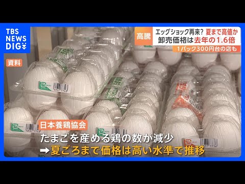 エッグショック」が再来か？たまごの価格“過去最高値”に迫る 夏頃まで