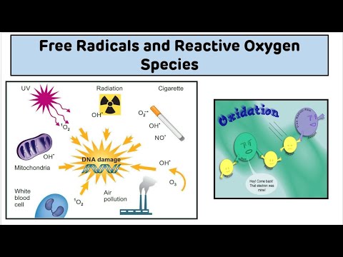 Free Radicals and Reactive Oxygen Species (ROS) || Introduction to