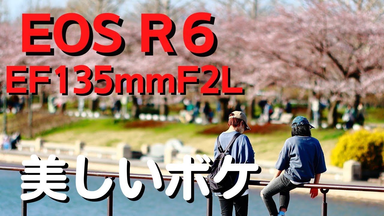 美しいボケがたまらない、最高のレンズなんだがEF135mmF2Lで撮る夕方の