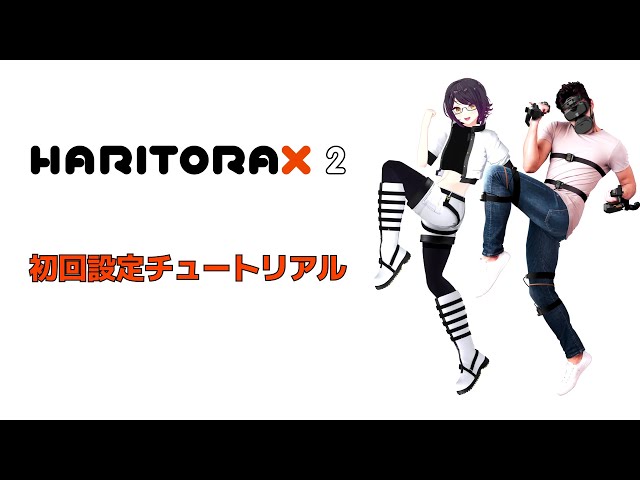 HaritoraX 2 Initial Setup Tutorial - YouTube