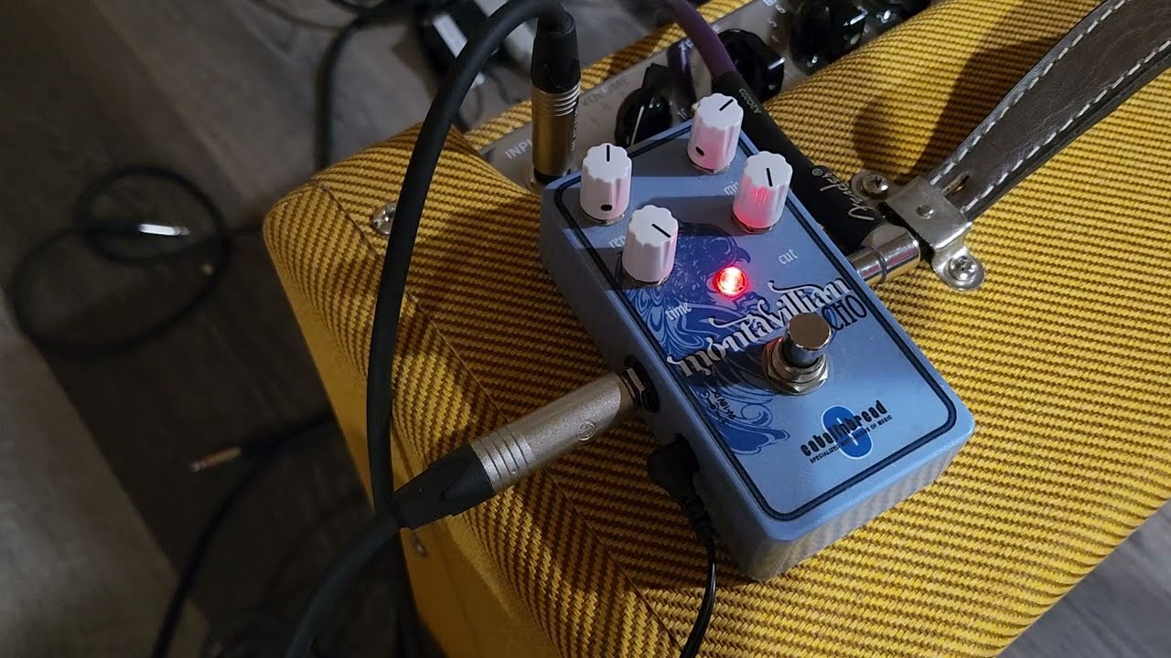 Catalinbread Montavillian Echo – A pretty OK Delay 🎞️ - YouTube