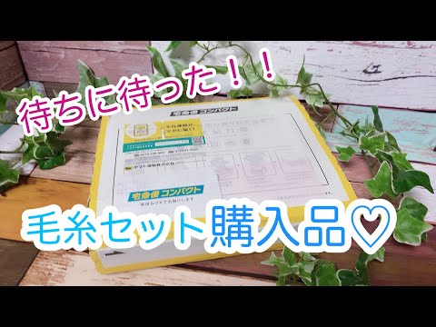 Yarn set purchase] The 2020 fan set from Keitoya Machida store has