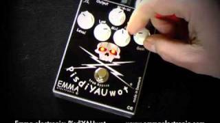Emma electronic: PisdiYAUwot Metal Distortion (Stef-T7 to Laney