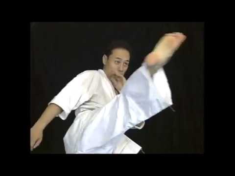 Shinkyokushinkai] Yamamoto Kensaku's 