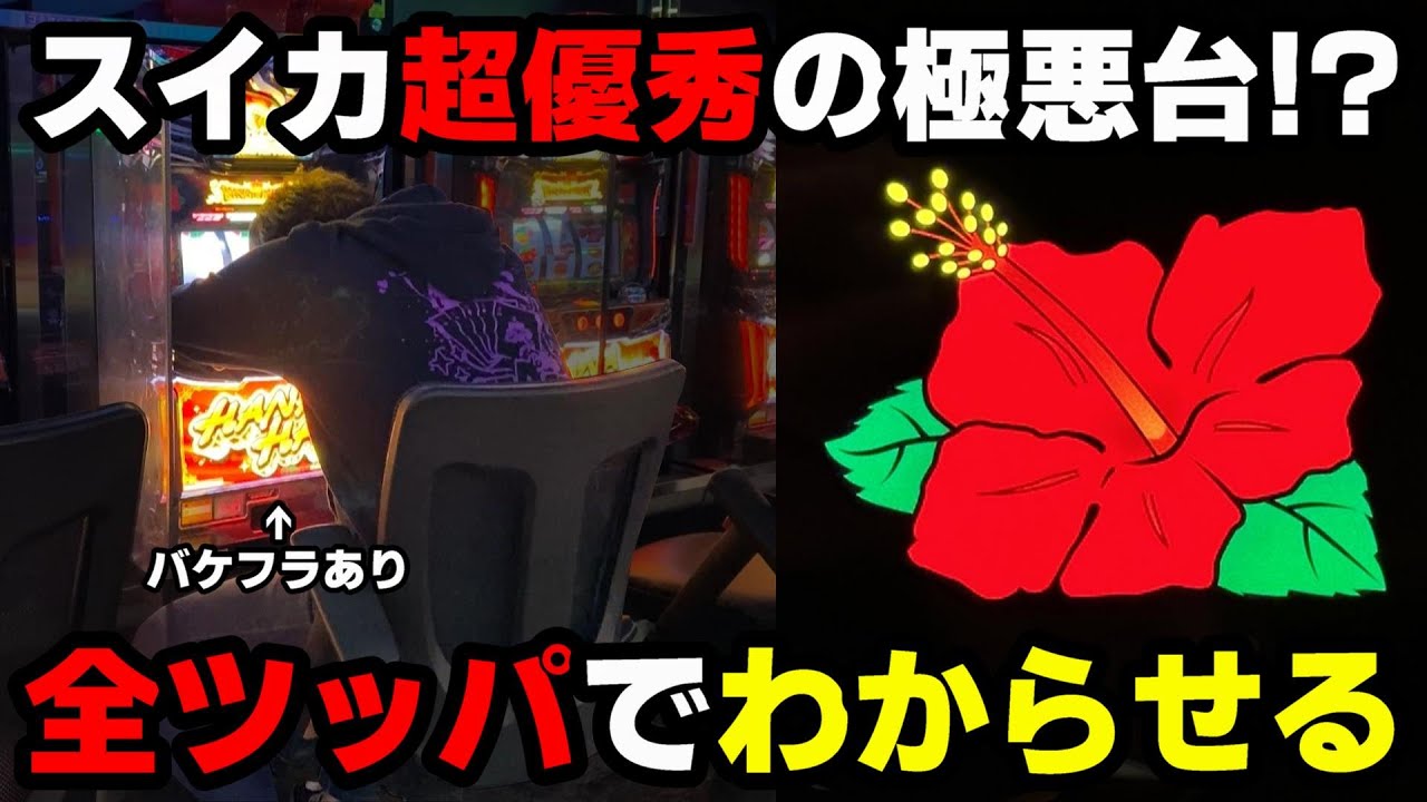 ハナハナの遅れの件🌺島唄30【遅れストックVer】🤩キュイン🚨4号機