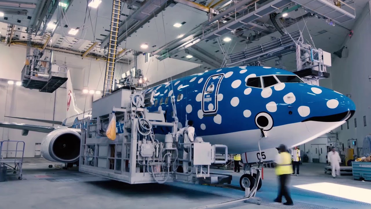 ジンベエジェットとは | JTA日本トランスオーシャン航空