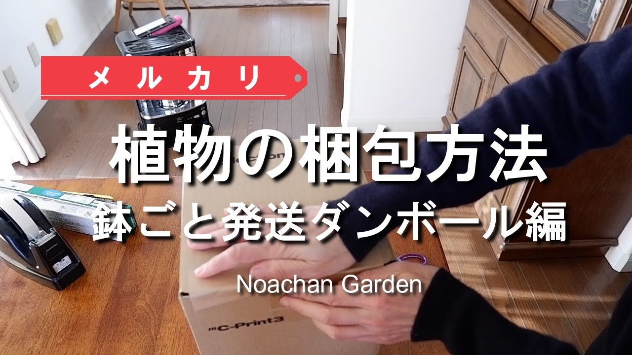 メルカリ【植物の梱包方法】【鉢ごと発送】ダンボール編 - YouTube