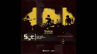 Voice（from LIVE PARALLEL WORLD／Sgt. - 成田昭次） - YouTube