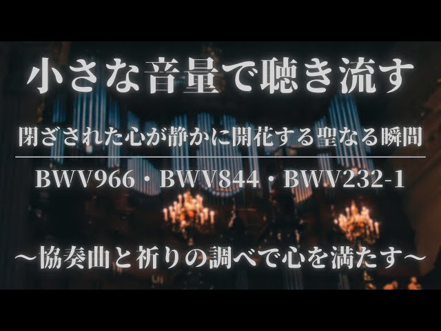 全てを解き放つ浄化の音色】パイプオルガンの祝福、バッハが織りなす