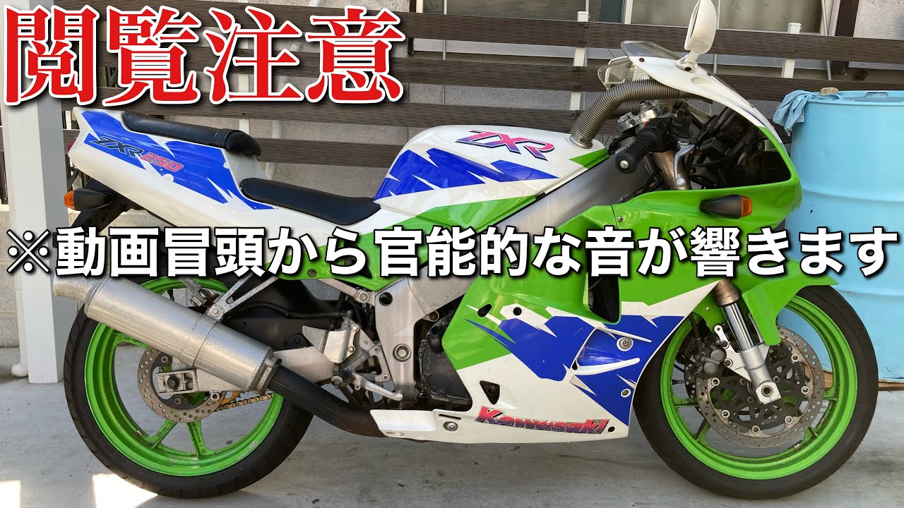 ZXR250] Come on, let's get drunk together - YouTube