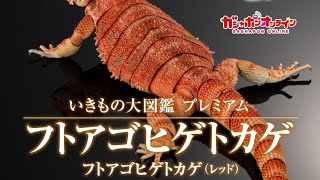 Bearded Dragon (Red/Yellow)