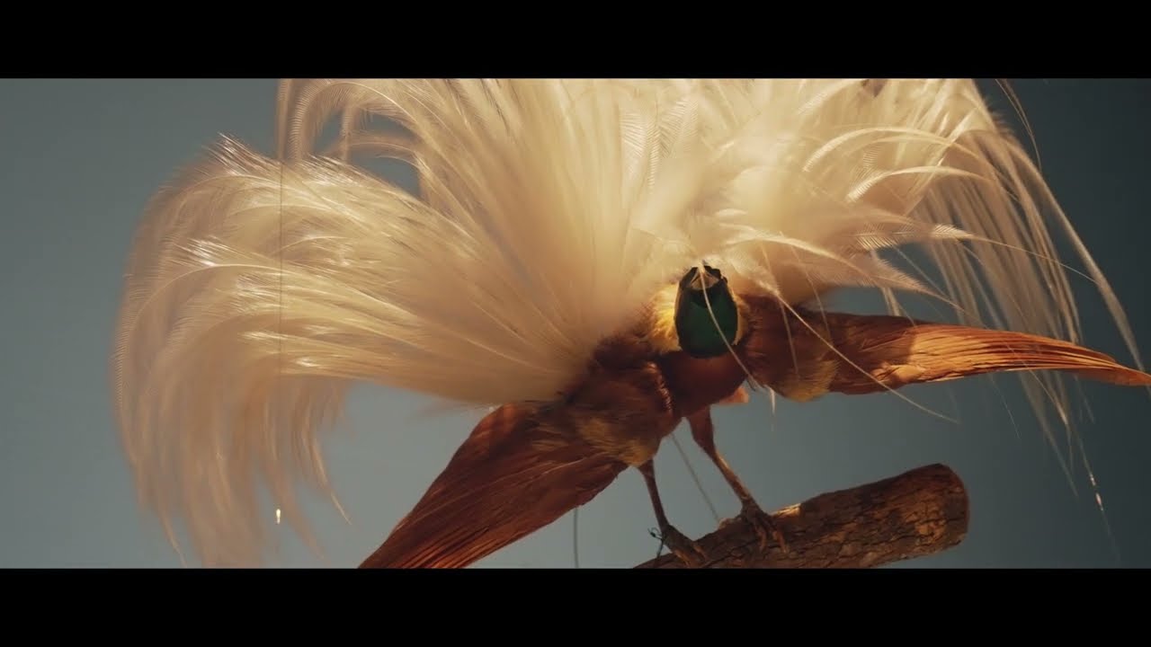 maxresdefault.jpg?sqp=-