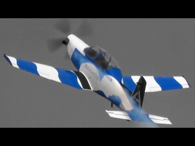 航空自衛隊が次期初等練習機に採用 T-6 RIAT 2019 Daedalus Hellenic