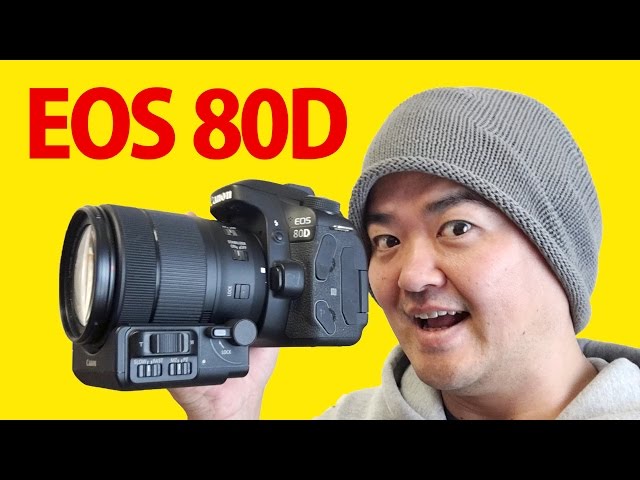 Canon EOS 80D 徹底レビュー！最新デジタル一眼レフの動画性能を中心に