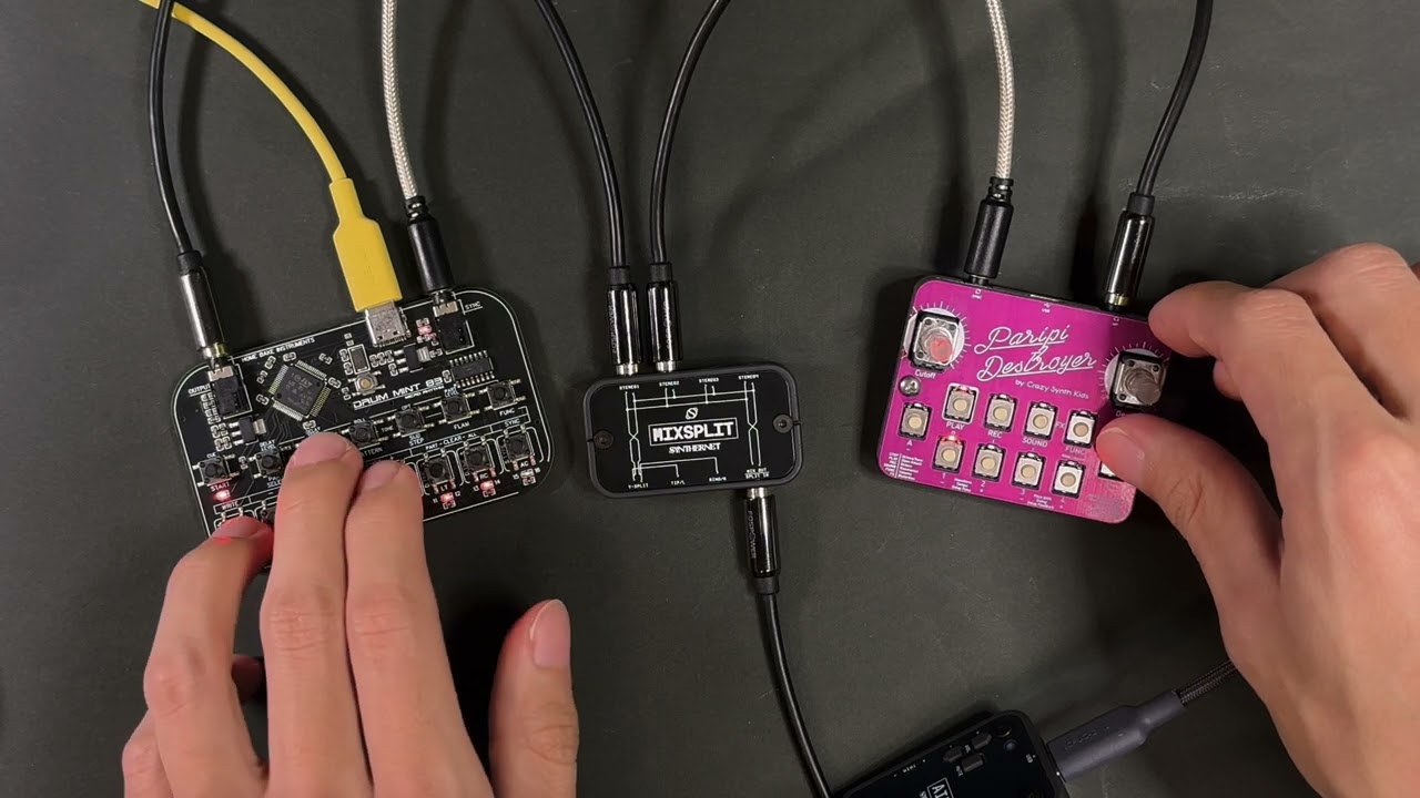 ParipiDestroyer - Bass Synthesizer | SYNTHERNET