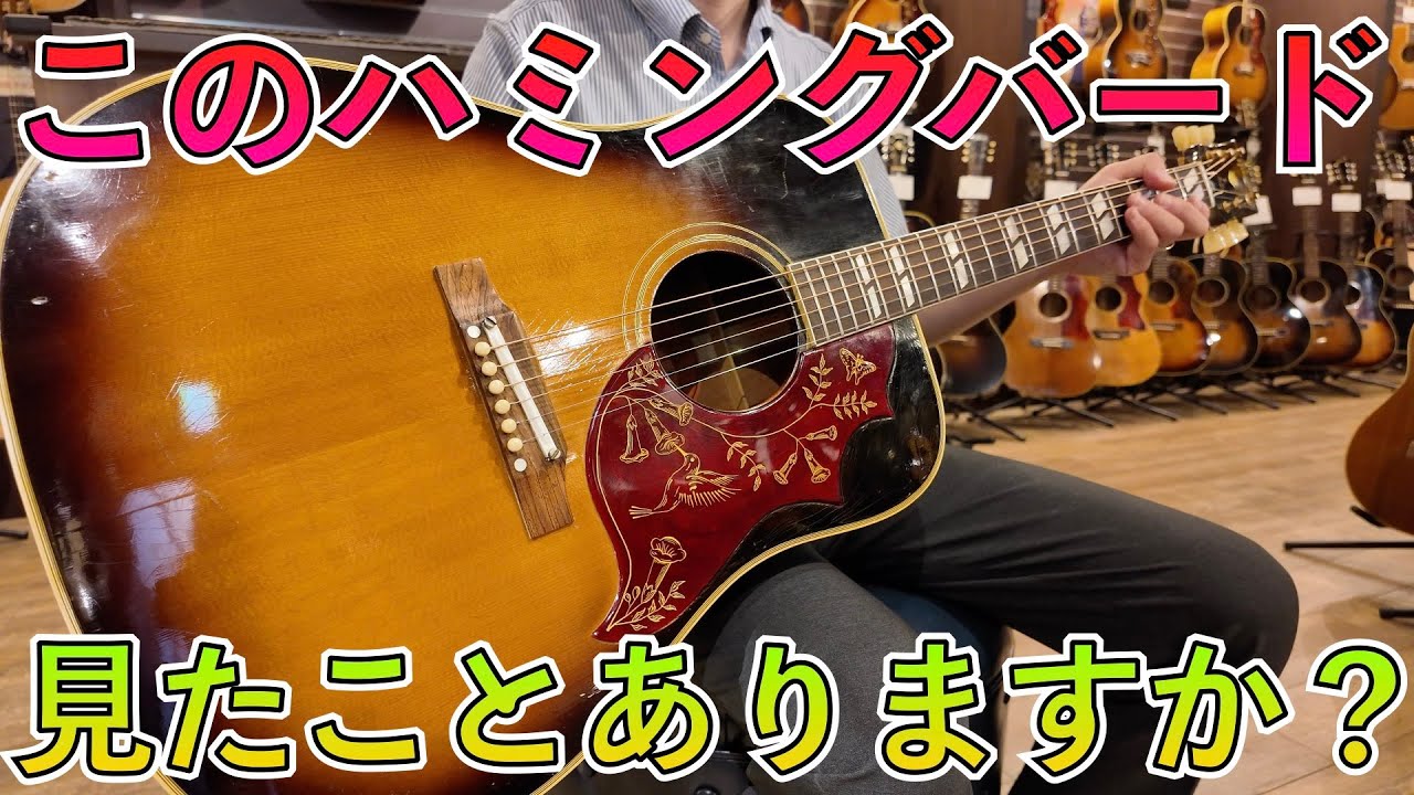 本当に実在したタバコサンバーストのビンテージハミングバード！ - YouTube