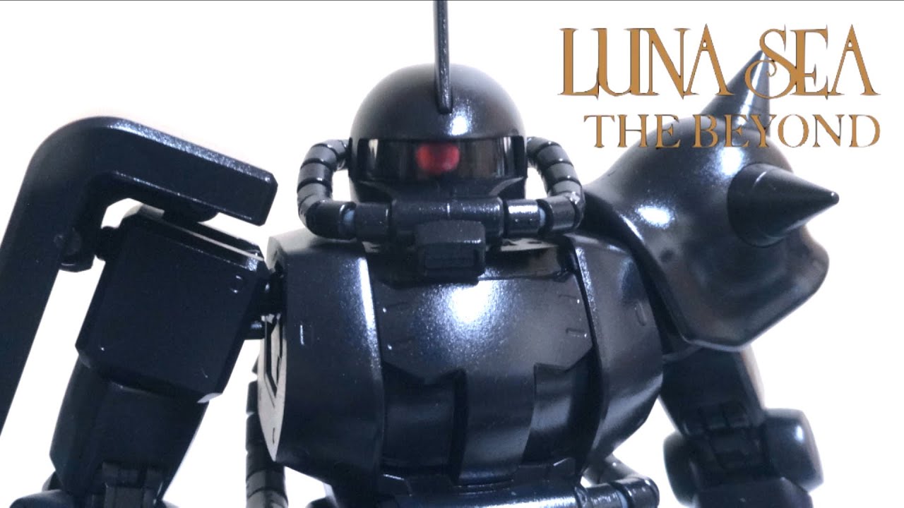 LUNA SEA / THE BEYOND】MG 1/100 LUNA SEA CUSTOM ZAKU II wotafa's