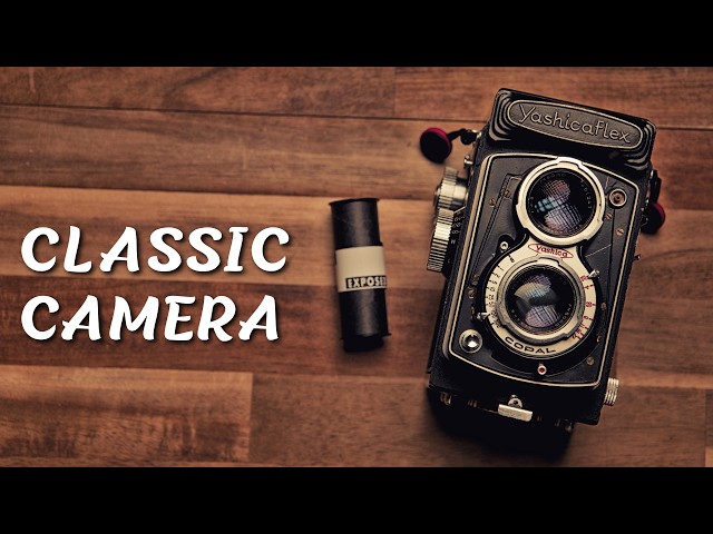 Going out on a holiday with a 70-year-old camera | Yashicaflex C