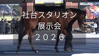 2026年 社台スタリオンステーションの特集・最新情報 | サラブレッド