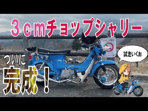 シャリーチョップ - YouTube