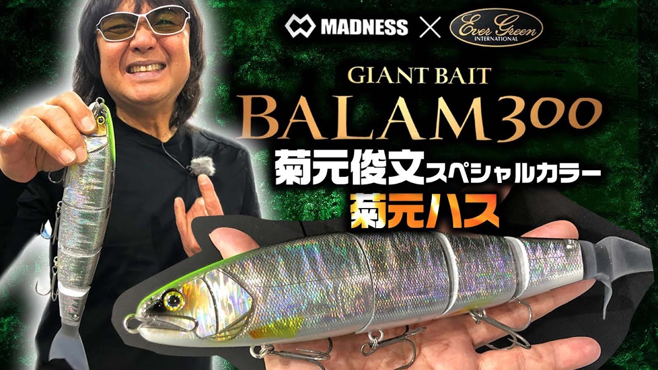 バラム300 MADNESS BALAM300 菊元ハス バラムをリペイント。 | 菊元俊文.jp
