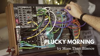 2hp Pluck - Eurorack Module on ModularGrid