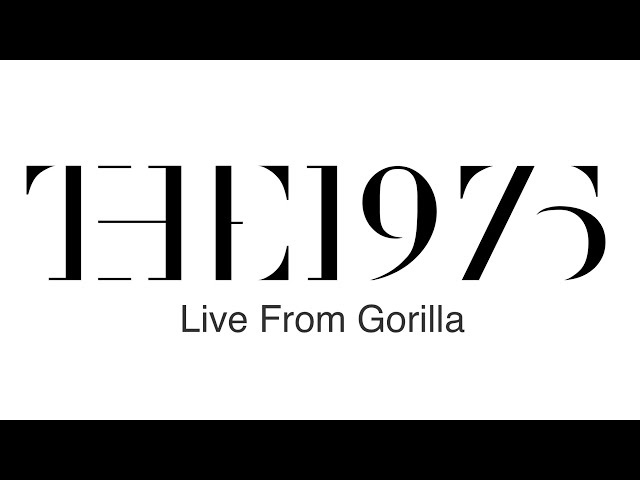 The 1975 - Live From Gorilla (01.02.2023) - YouTube