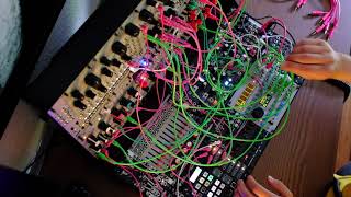 Mannequins MANGROVE - Eurorack Module on ModularGrid