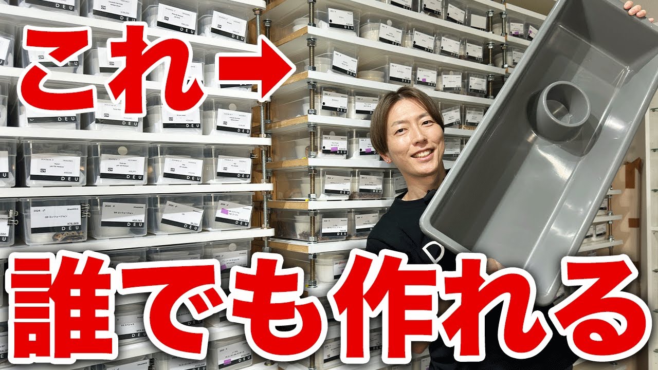 Pro Tips: How to Build a Snake Rack｜Ball Python Breeding - YouTube