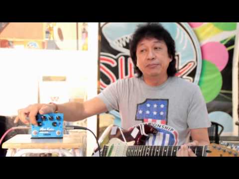 Shark Moo Kalei STAGE DRIVE | Music Arms ศูนย์รวมเครื่องดนตรี