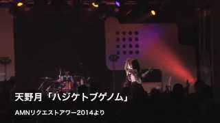 AMNリクエストアワー2014、DVD化決定！！ – TSUKI AMANO