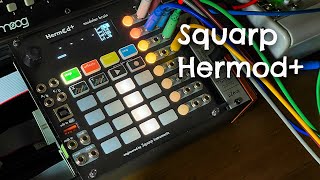 Squarp Hermod+ Eurorack Sequencer | First Look & Quick Patch - YouTube