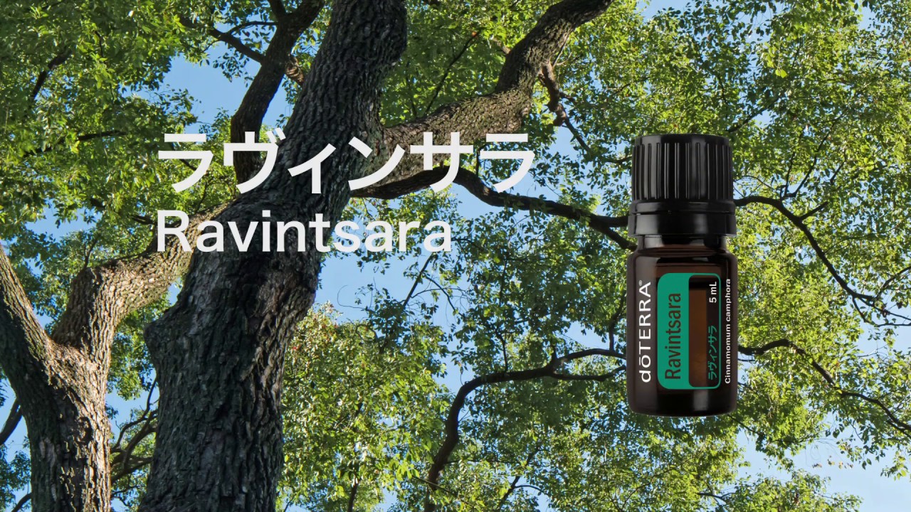 ラヴィンサラ - doTERRA TIMES