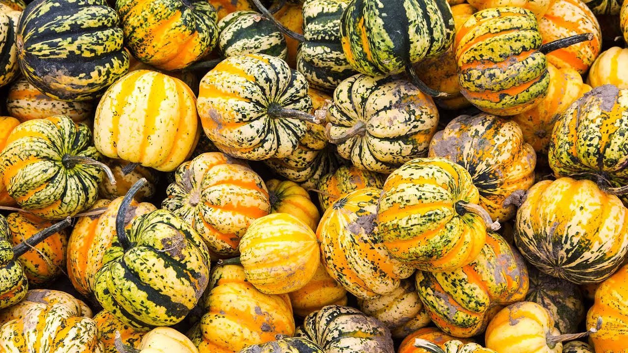 ロッシーニ:弦楽のためのソナタ』Six string sonatas by Italian