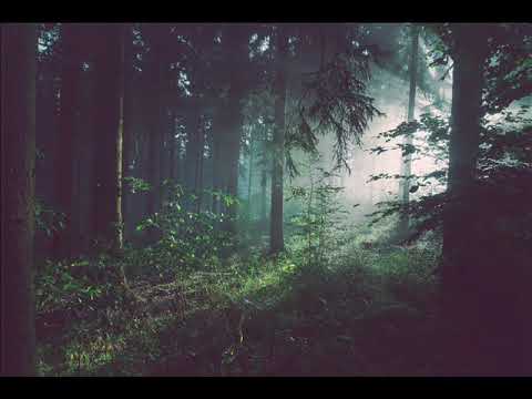 Tomoyuki Asakawa (朝川朋之) - Endless Tide (ゆくえなき夜に) - YouTube