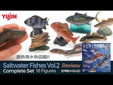 18 Realistic Saltwater Fish (Edible) Figures / 原色海水魚図鑑II