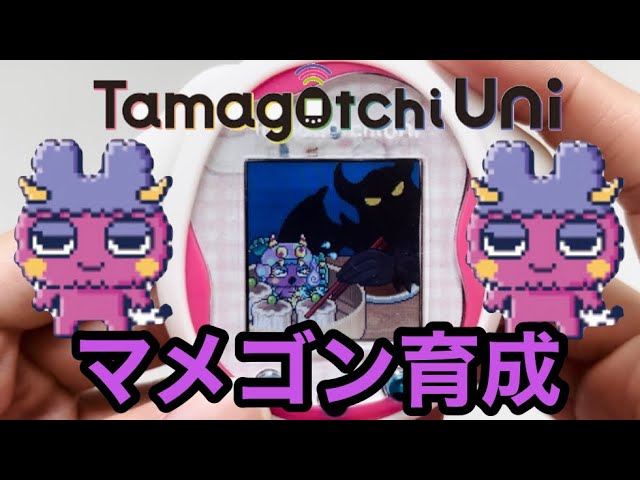 Tamagotchi Uni】 Raising the Popular Character Mamegon from