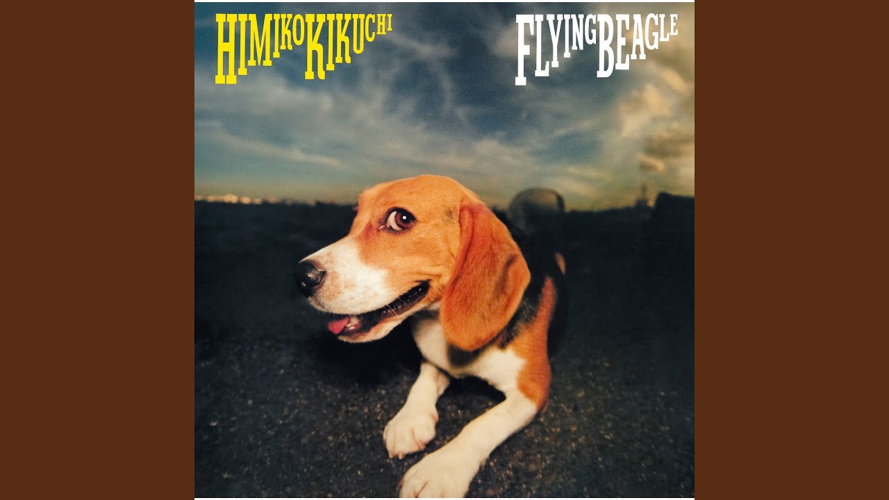 菊池ひみこ Himiko Kikuchi ‎– Flying Beagle (Full Album) - YouTube
