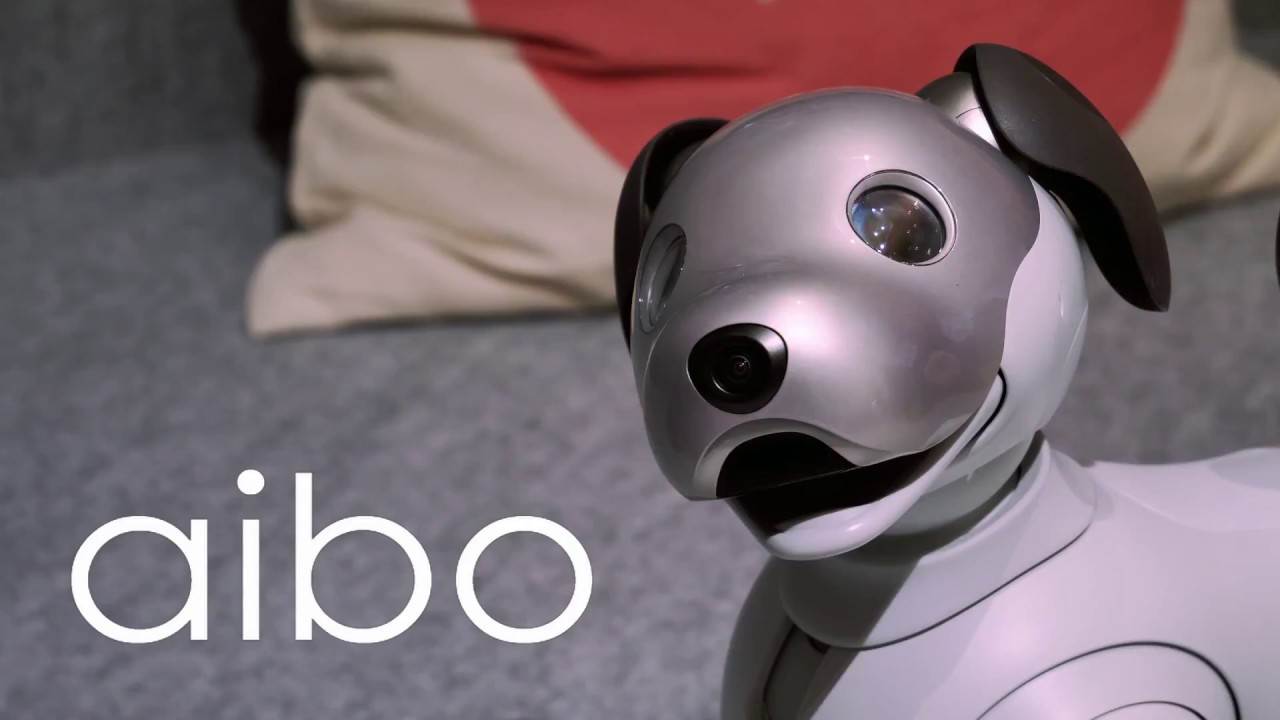 aibo動画まとめ】ソニー「aibo(アイボ)」を愛せるかな？ リアルだけど
