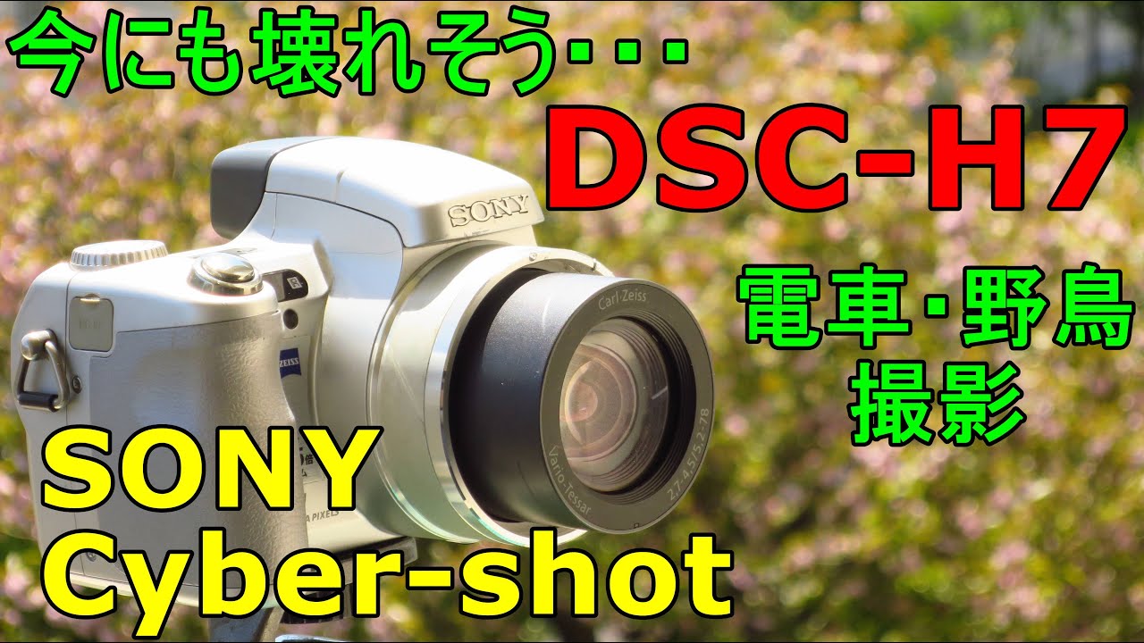 ジャンクネオ一眼】550円 SONY Cyber-shot DSC-H7 動作検証・作例